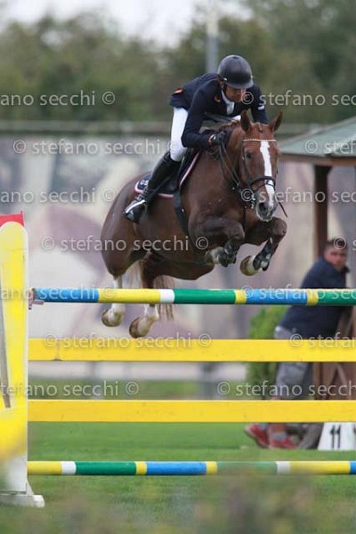 CHIAUDANI_SAMSARAH_GIO CAV 2011_(052) SS3_9813.jpg